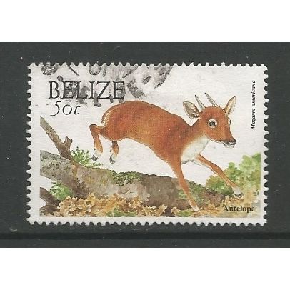 Belize 2000 Wildlife 50c Antelope, used. SG1259A