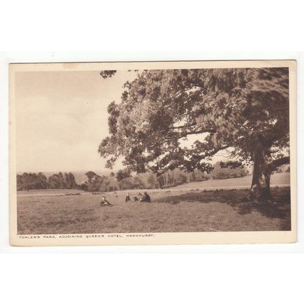 Fowler's Park Adjoining Queen's Hotel Hawkhurst Postcard Kent