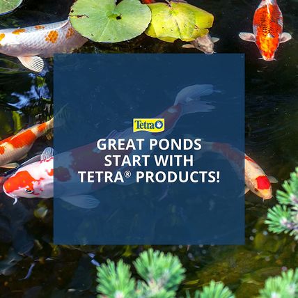 Tetrapond Pond Sticks Pond Fish Food for Goldfish and Koi, Healthy Nutrition Cle