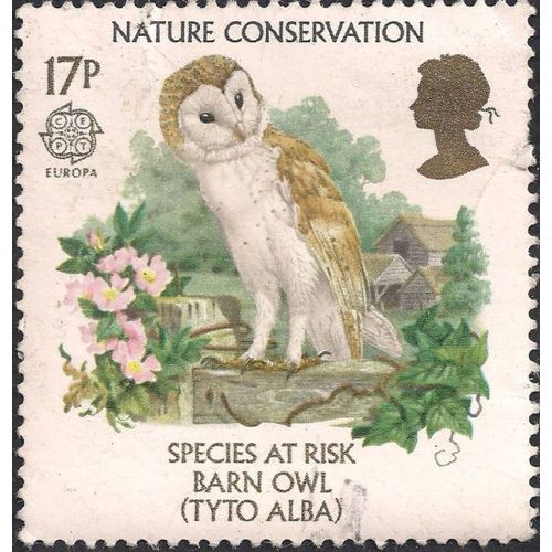 GB, BIRDS, Barn Owl, green 1986, 17p