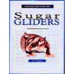 A New Owner's Guide to Sugar Gliders