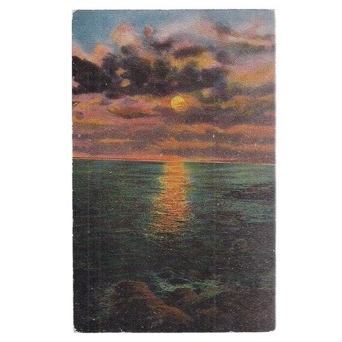 seascape unused antique postcard Knight series =