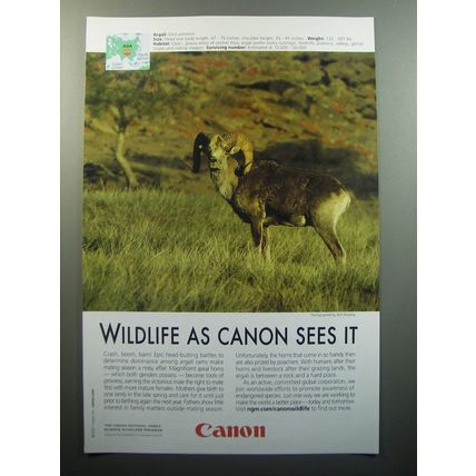 2007 Canon Advertisement - Argali - Wildlife as Canon sees it