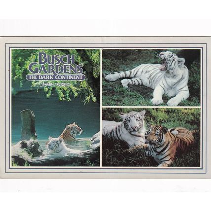 Claw Island Busch Gardens Multiview Florida United States Postcard 1990 posted