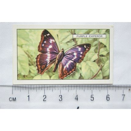 1938 Gallaher's Butterflies & Moths No. 3 Purple Emperor