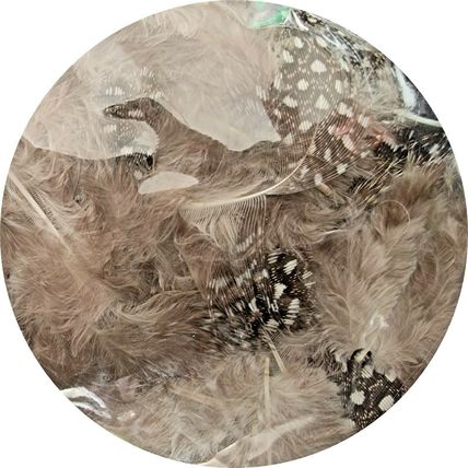 Guinea Fowl Feathers 3g approx 100 Craft Supplies Card Making Scrapbooking CR17