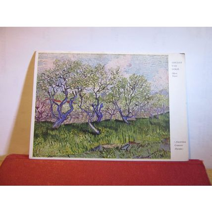 OLIVE TREES, painting by Vincent Van Gogh. unused postcard Medici soc. =