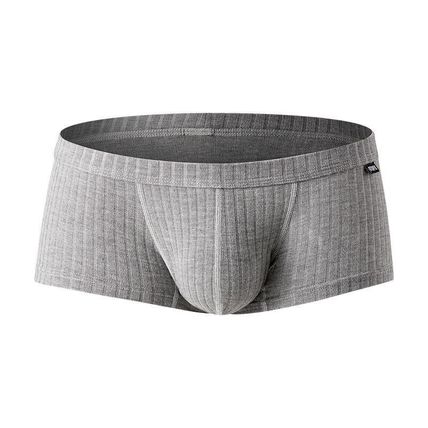 Men's Sexy Underwear Soft Underpants Boxers Briefs Trunks