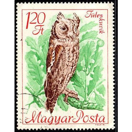 Hungary 1968 Bird 1.20ft Used Stamp Owl