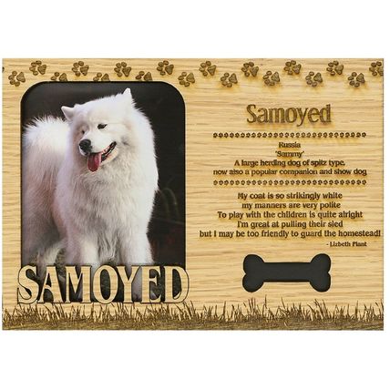 Samoyed Engraved Wood Picture Frame Magnet
