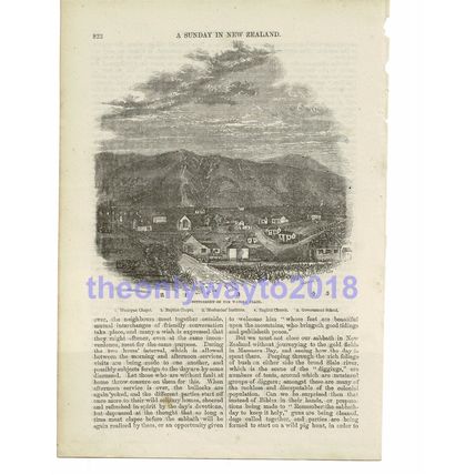 Settlement on Waimea Plain, New Zealand , Book Illustration (Print), 1861