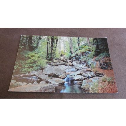 Jarrold Postcard - Ballaglass Glen, Isle of Man