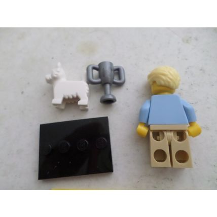 LEGO - Series 16 #12 - Mini figure - Dog Show Winner
