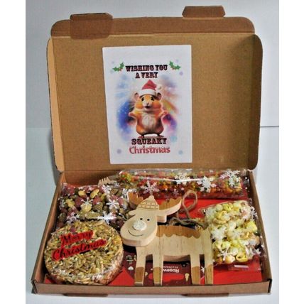 HAMSTER CHRISTMAS TREAT GIFT BOX WITH REINDEER WOOD GNAW TOY AND TASTY TREATS