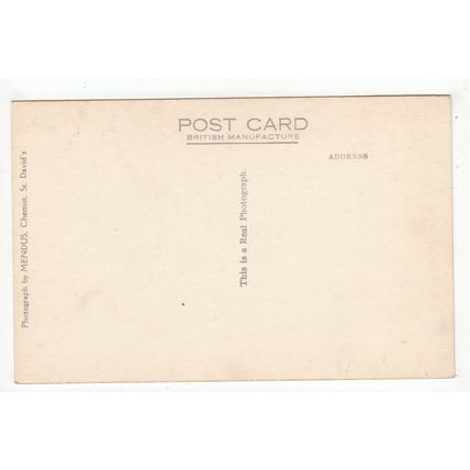 Back of Ramsey Island Showing Seal's Head Postcard Pembrokeshire Wales Mendus