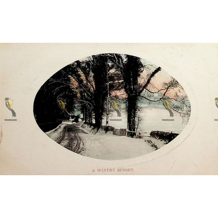 Wintery Sunset, Glossy Postcard, 1908