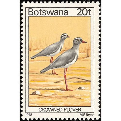 Botswana 1978 Birds 20t Crowned Plover Unmounted Mint NHM SG 419 Sc 206 stamp