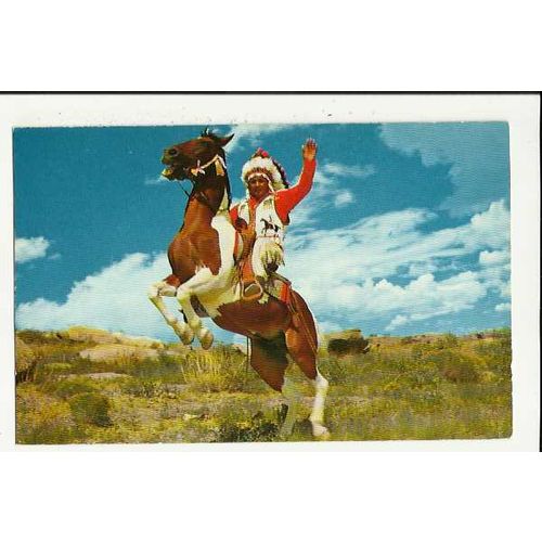USA Arizona CHIEF DEERFOOT Postcard by Petley (K-250-A)