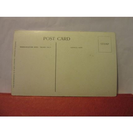 AMBBRESBURY BANKS, EPPING FOREST, ESSEX. unused antique postcard by G D & D =