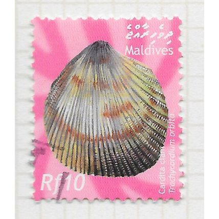 MALDIVES 2003 MARINE LIFE SEA SHELLS USED CARDITA CLAM MOLLUSC