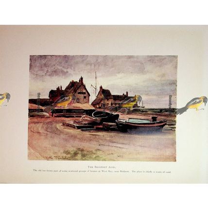 Bridport Arms, Dorset, Book Illustration (Print), 1911