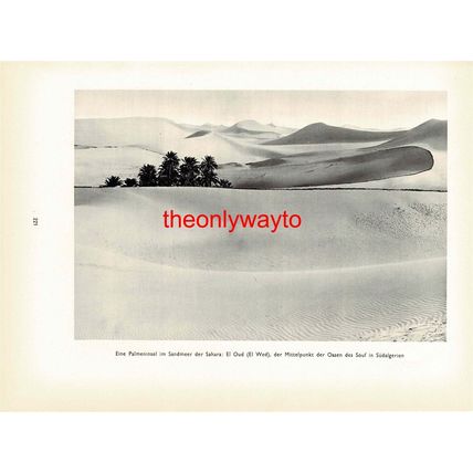 Tuaregs in the Saharan Rock Desert, Photo Book Illustration 1935