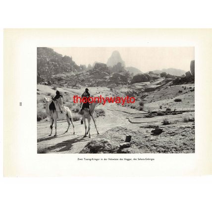 Tuaregs in the Saharan Rock Desert, Photo Book Illustration 1935
