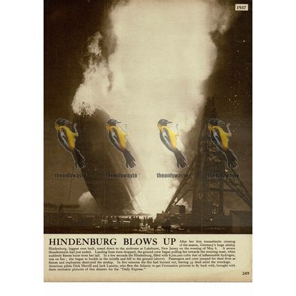 Hindenburg, Airship Blows Up, 1937, Book Illustration, 1938