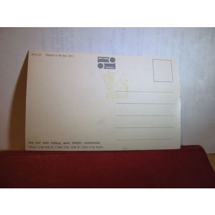 CAT & FIDDLE INN, THE NEW FOREST, unused vintage postcard by John Hinde =