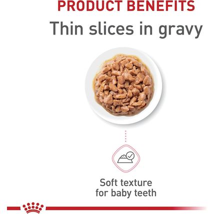 Royal Canin Feline Health Nutrition Kitten Thin Slices in Gravy Canned Cat Food,
