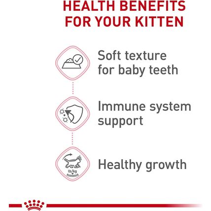 Royal Canin Feline Health Nutrition Kitten Thin Slices in Gravy Canned Cat Food,