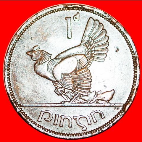 HEN & CHICKS: IRELAND ★ 1 PENNY 1965! LOW START★NO RESERVE!