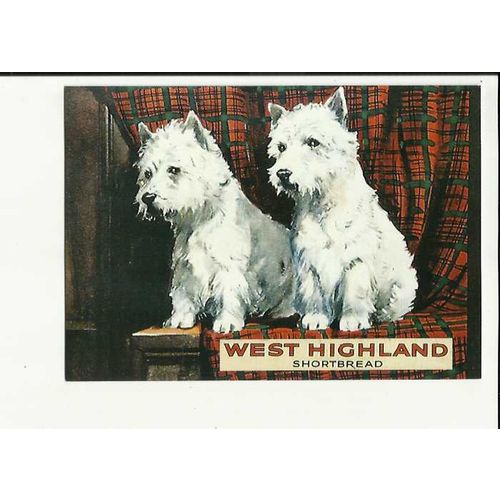 WEST HIGHLAND SHORTBREAD Advert Postcard by Opie (01AN 14)