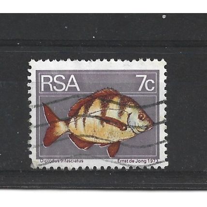 SouthAfrica.SG354 7c Bontrok Seabream.Fine Used.Sep250