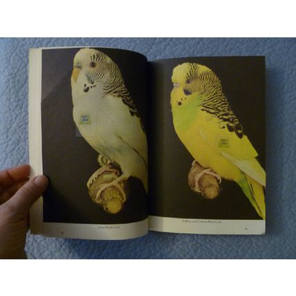 KNOW YOUR PARAKEETS - BUDGIES from the PET LIBRARY ILLUSTRATED