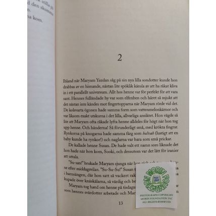 Och var hör du hemma? SWEDISH EDITION OF DIGGING TO AMERICA by ANNE TYLER
