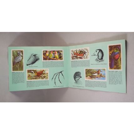 Brooke Bond Tea Card Album: 1974 Tropical Birds, Complete With All Cards