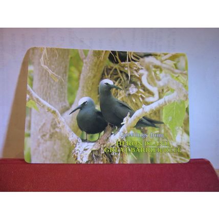 NODDY TERNS, HERON ISLAND, QUEENSLAND. AUSTRALIA used postcard 1988 pm =