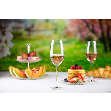 NACHTMANN Vivino Crystal Champagne Glass-Set of 4-Clear-9 fl oz-NEW-SEALED-FAST