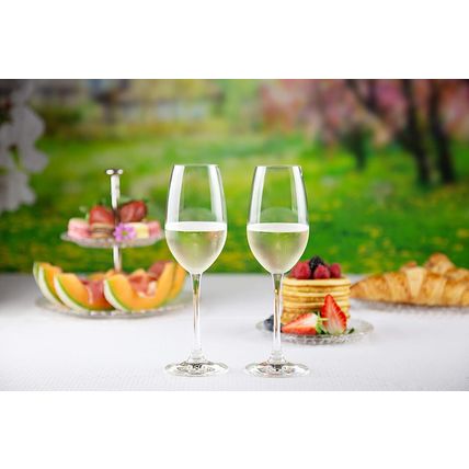 NACHTMANN Vivino Crystal Champagne Glass-Set of 4-Clear-9 fl oz-NEW-SEALED-FAST