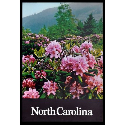 NORTH CAROLINA 1970s Rhododendrons Roan Mountain TRAVEL POSTER