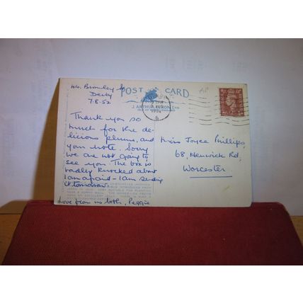 JAPONICA flowers. used postcard by J Arthur Dixon `1952 pm =