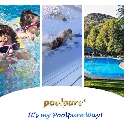 POOLPURE Spa Filter Replaces Watkins 303279, PFF42TC-P4, 5CH-37, 78460, FC-2402,