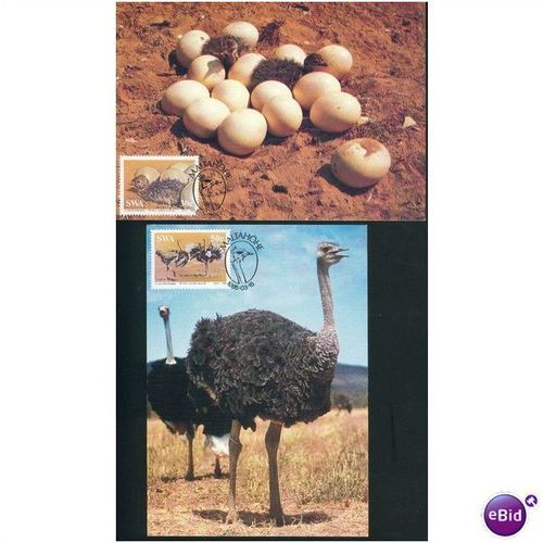 SWA SHS FDI PC's 1985 - The Ostrich