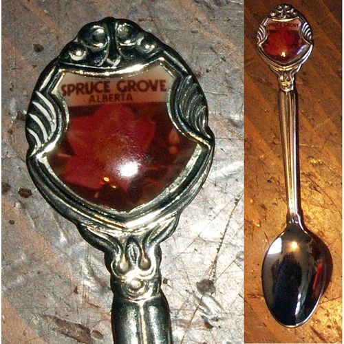 Spruce Grove Alberta Canada Souvenir Teaspoon Tea Spoon Wild Rose