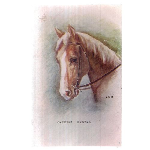 HUNTER HORSE by L. E. D. unused antique postcard by ALPHALSA Pub. Co.Ltd