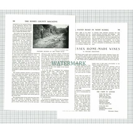 (8665) Henley Sussex - 1930 Article