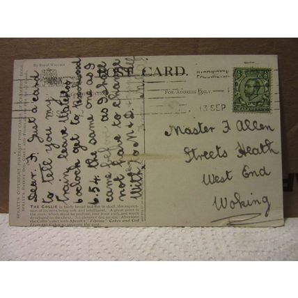 SPRATT'S used antique postcard 1902? pm COLLIE DOG /
