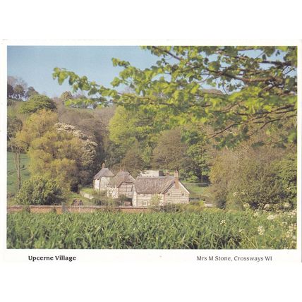 Upcerne Dorset Cottages In Summer Postcard