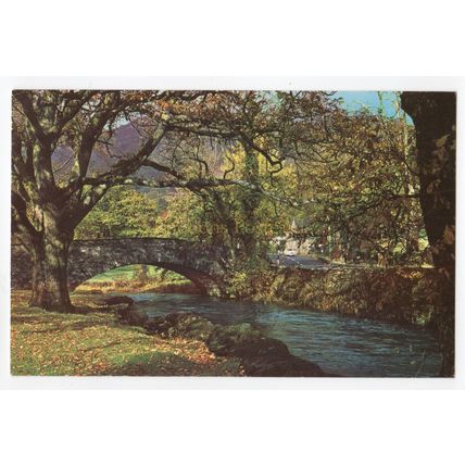 Bridge At Rydal Cumbria - 1960s Lake District Photo View Postcard